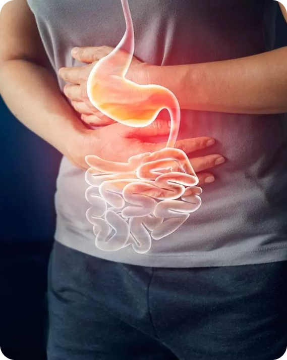 Nutricao nas doencas funcionais do intestino em Curitiba