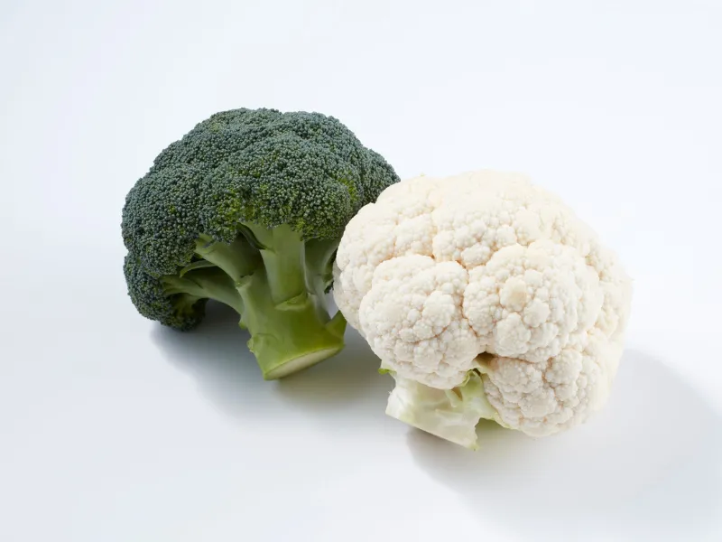 Nutricao Personalizada com Testes Geneticos em Curitiba
