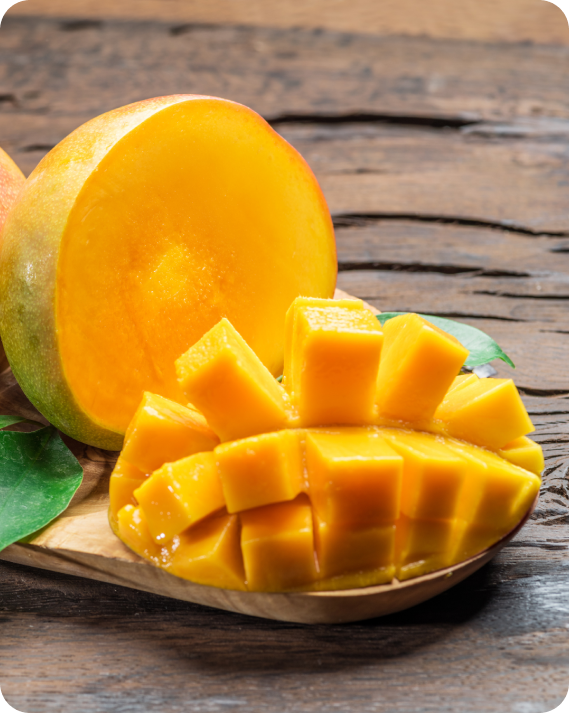 Nutricionista Ayurvedica em Curitiba
