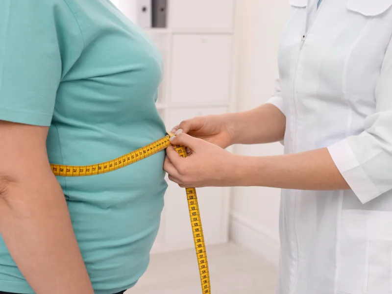 Plano Alimentar Para Obesidade em Curitiba