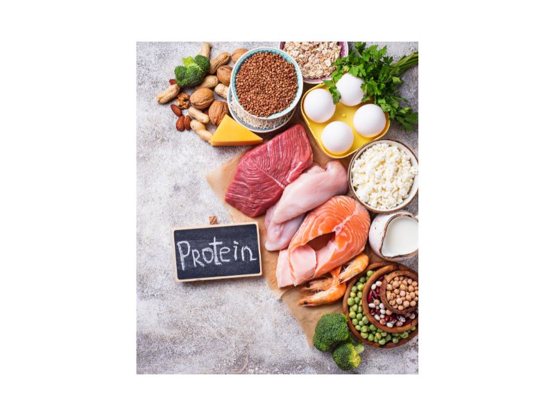 Plano Alimentar para Desnutricao em Curitiba