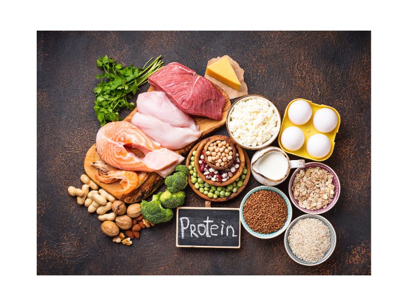Tratamento Nutricional para Desnutricao Proteico Energetica em Curitiba